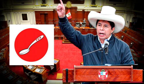 Pedro Castillo es líder del partico Todo con el Pueblo (TCP)