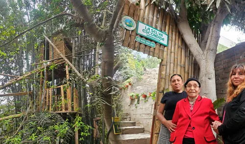 Esther sembró su primera planta de mango hace 40 años en su patio trasero, ahora, tiene una selva escondida con más de 100 especies.