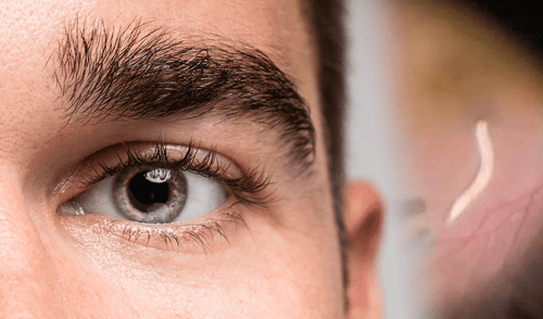 Médicos en India extraen de un ojo humano un parásito común en perros y gatos: el hombre sufría inflamación ocular