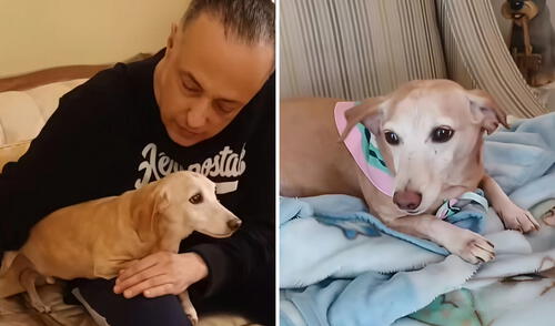 El reencuentro entre Santiago y su perro guía ‘Bam Bam’ se convirtió en un hecho viral que trascendió fronteras y se hizo viral en las redes sociales