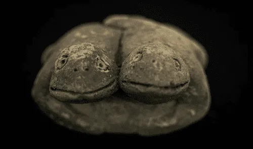 La escultura, presentada por el Ministerio de Cultura, mide 12 cm y fue encontrada durante trabajos de conservación en la provincia de Huaura. La escultura, presentada por el Ministerio de Cultura, mide 12 cm y fue encontrada durante trabajos de conservación en la provincia de Huaura.