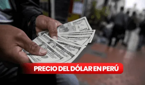 Precio del dólar en Perú HOY, domingo 31 de agosto. Precio del dólar en Perú HOY, domingo 31 de agosto.