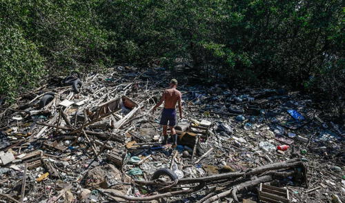 El PNIB busca garantizar el cumplimiento de normas sanitarias y ambientales para combatir la deforestación. programa para combatir la deforestación en la Amazonía