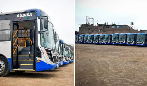 La Autoridad del Transporte Urbano de Lima y Callao informó que la marcha blanca durará desde el domingo 31 de agosto hasta el miércoles 3 de setiembre. Foto: Composición LR/ATU