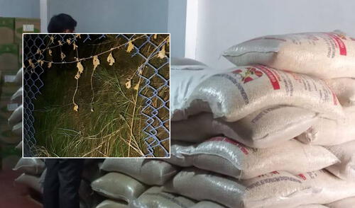 Delincuentes vulneraron almacenes ediles. Foto: referencial / Municipalidad de Tumbes.