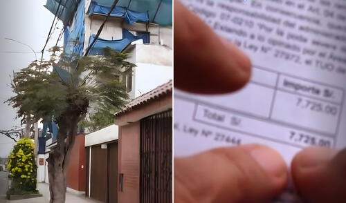 Municipalidad de Surquillo multa a adulta mayor, Dina Consuelo Sánchez Campos, con más de S/7.000 a adulta mayor por podar árbol frente a su casa