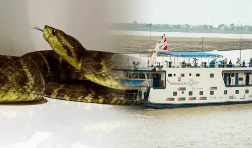 Adolescente sobrevive a letal mordedura de serpiente en Loreto