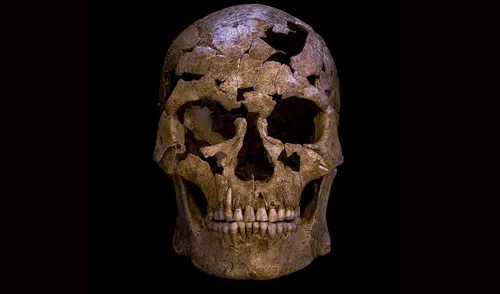 Reconstruyeron el esqueleto de un hombre que falleció hace más de 12.000 años
