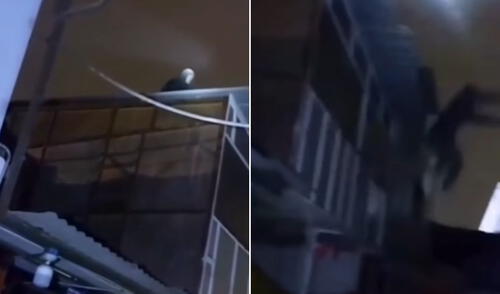 Ladrón cae desde un techo tras intento de fuga y termina hospitalizado en Trujillo Ladrón cae desde un techo tras intento de fuga y termina hospitalizado en Trujillo