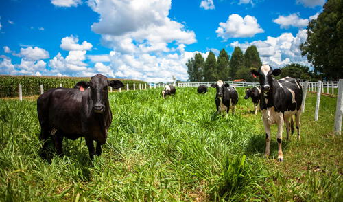 Brasil, contaminación, metano