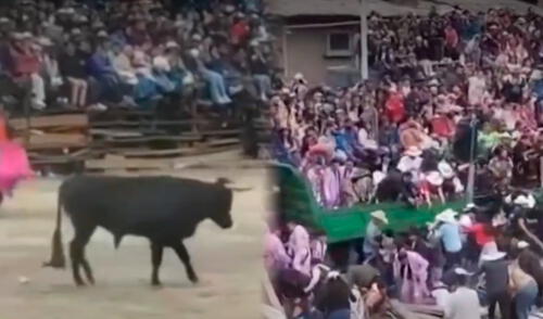 La embestida del toro causó la muerte de un joven, quien quiso demostrar que podía dominar al animal. Foto: Composición LR