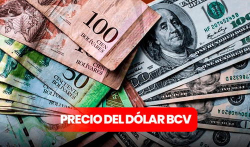 Precio del dólar BCV hoy, 11 de septiembre: consulta la tasa del dólar, vía Banco Central de Venezuela Precio del dólar BCV hoy, 11 de septiembre: consulta la tasa del dólar, vía Banco Central de Venezuela