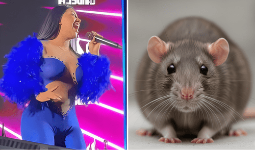 Kate Candela detiene concierto tras aparición de una rata en Pisco