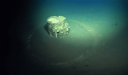 Los barriles tóxicos, parecen tener "halos" a su alrededor, y un estudio descubrió la razón. Foto: Schmidt Ocean Institute Los barriles tóxicos, parecen tener "halos" a su alrededor, y un estudio descubrió la razón.