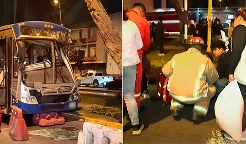Accidente que involucró a un bus del Corredor azul se registró cerca del paradero Mariano Carranza, en la cuadra 11, en plena avenida Arequipa, Lince. Bus del Corredor Azul impacta contra un árbol y deja seis heridos en plena avenida Arequipa, en Lince