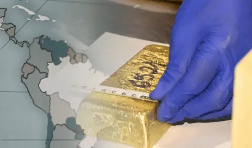 Expertos advierten sobre síntomas de "enfermedad holandesa"