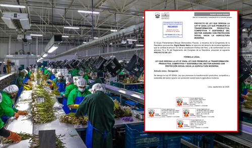Agroexportadoras gozarán de un tratamiento preferencial de recorte de impuestos por los próximos 10 años.