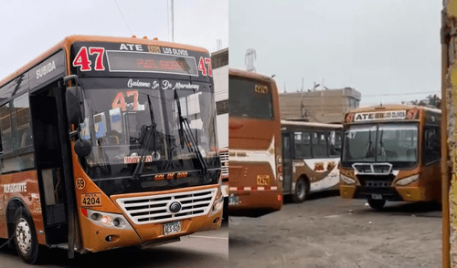 Empresa Sol de Oro paraliza sus operaciones por extorsiones. Foto: composición LR