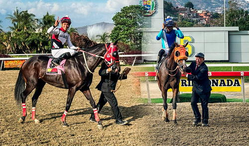 Resultados 5y6 La Rinconada del domingo 14 de septiembre 2025: ganadores y orden de llegada de todas las carreras del INH