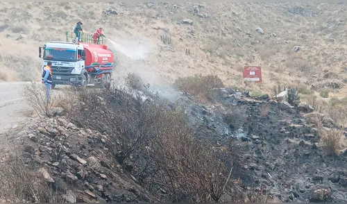 Un total de 50 especies de flora y al menos 7 de fauna fueron afectadas por el incendio forestal en Arequipa. Foto: Gore Arequipa
