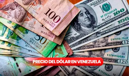 Hoy 20 de agosto, el precio del dólar BCV en todo Venezuela. Foto: composición LR Hoy 20 de agosto, el precio del dólar BCV en todo Venezuela. Foto: composición LR