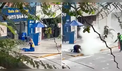 Mujer fue atacada por enjambre de más de 200 abejas en Jesús María: denuncian que no recibió ayuda de empresa que la contrató