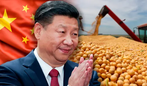 Argentina compite con Brasil para convertirse en el reemplazo de EE. UU. que China busca para la soja.