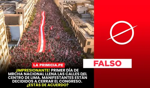 Contramarcha en rechazo al gobierno de Pedro Castillo