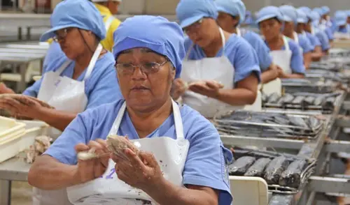 El 39% de las empresas en Perú planea contratar más personal en el último trimestre de 2025 El 39% de las empresas en Perú planea contratar más personal en el último trimestre de 2025