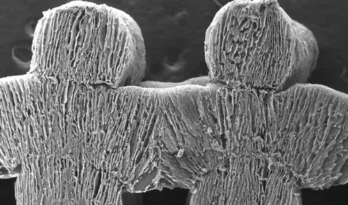 Un nuevo material poroso podría convertirse en una alternativa ecológica para convertir el agua de mar en potable.