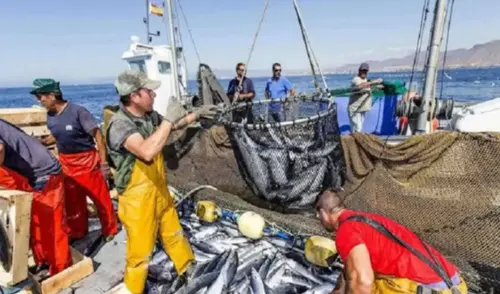 El sistema entrará en vigencia en 90 días. Foto: Andina El sistema entrará en vigencia en 90 días