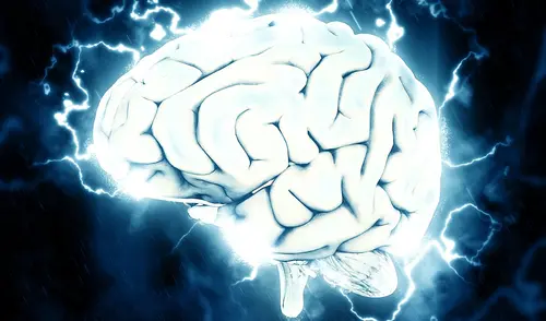 Un genetista afirma que masajearse suavemente el rostro y el cuello a diario puede ayudar a la autolimpieza del cerebro.