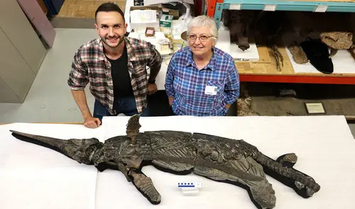 El Dr. Dean Lomax y la profesora Judy Massare posando junto al esqueleto del recién nombrado ictiosaurio dragón espada. Foto: AFP