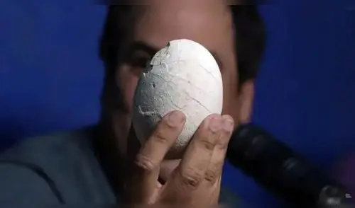 Paleontólogos descubrieron el primer huevo de dinosaurio carnívoro de América Latina en Argentina. Paleontólogos descubrieron el primer huevo de dinosaurio carnívoro de América Latina en Argentina.