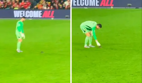 Thibaut Courtois fue titular en el Bélgica vs Gales. Foto: composición LR/difusión Thibaut Courtois vivió momento surrealista tras el ingreso de una rata en el Bélgica vs Gales