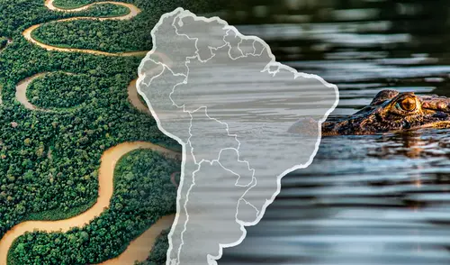El río Amazonas es reconocido oficialmente como el río más largo del mundo, con una longitud aproximada de 7.062 kilómetros. Foto: Composición LR Conocido como el río más largo y el más caudaloso del mundo, recorre hasta tres países de Sudamérica