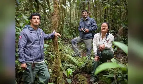 Guardaparques realizan una labor fundamental en el Perú. Foto: Inforegión