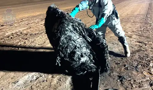 El trozo metálico quemado tras su ingreso a la atmosfera fue descubierto en un camino remoto.