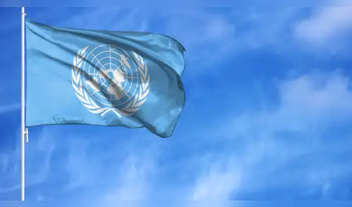 ONU rememora 80 años desde su fundación sentando las bases para un mejor futuro. Fuente: Shutterstock. onu