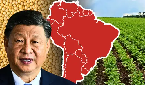 China aumenta compras de soja a América Latina mientras Estados Unidos pierde terreno.