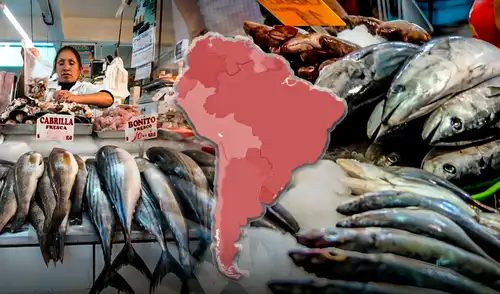 Este país es el único de América Latina en el top 5 del ranking mundial de producción de pescado. Este país es el único de América Latina en el top 5 del ranking mundial de producción de pescado.