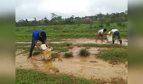 Pista de aterrizaje del aeropuerto de Breu, en Yurúa