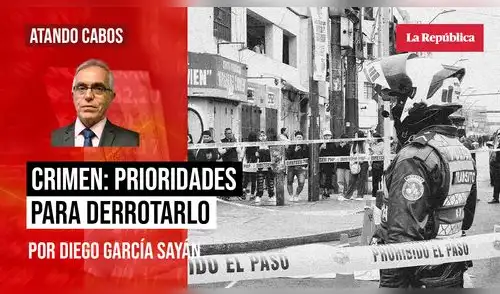 Diego García Sayán diego