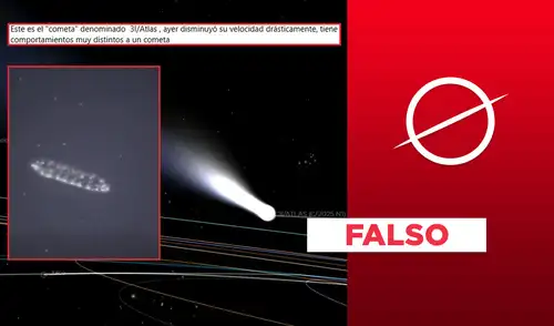 La supuesta "nave alienígena" resultó siendo un organismo pluricelular