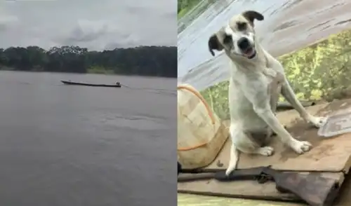 Adulto mayor lleva desaparecido 9 días en río Ucayali y encontraron a perrita