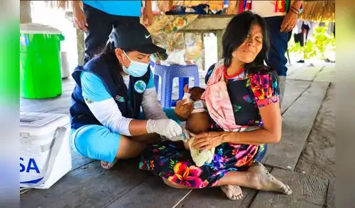 Vacunación en comunidades indígenas. Brechas. Comunidades nativas de la Amazonía sufren el golpe de enfermedades como la tos ferina, que son prevenibles con la vacunación. Hace falta contar con plan intercultural.