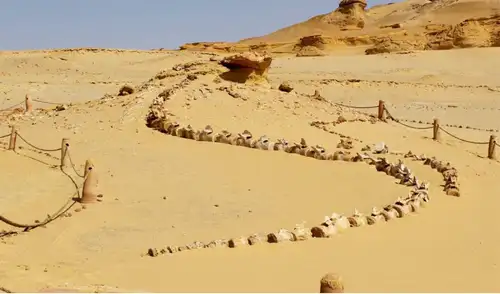 El Valle de las Ballenas, alguna vez estuvo cubierto de agua y ahora alberga muchos fósiles antiguos de cetáceos primitivos. Foto: Anadolu