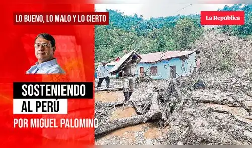 palomino