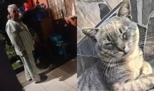 El agresor fue denunciado por una asociación de defensa de los derechos animales. Foto: Panamericana El agresor fue denunciado por una asociación de defensa de los derechos animales. Foto: Panamericana