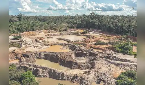 Pérdida. Cada año se pierde 150 mil hectáreas de bosque por actividades extractivas como la minería.
